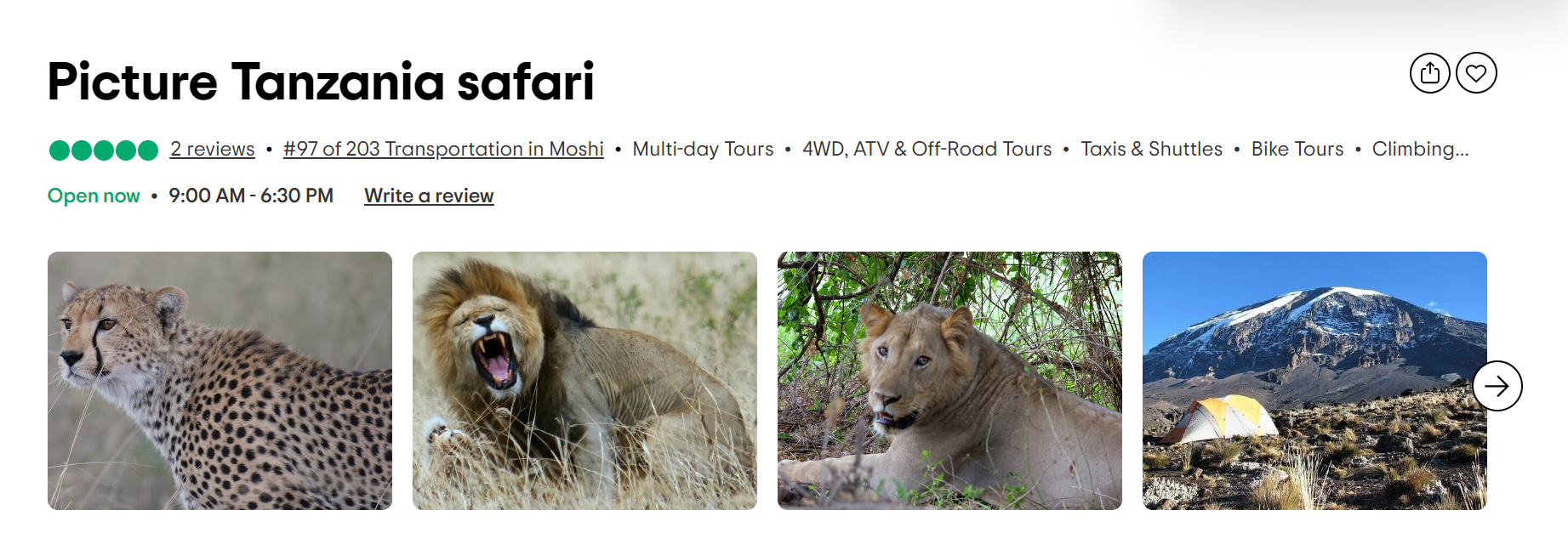 Picture-Tanzania-safari